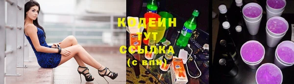 гашик Майский