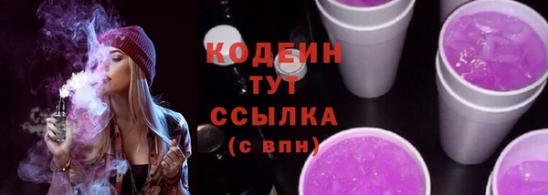 гашик Майский