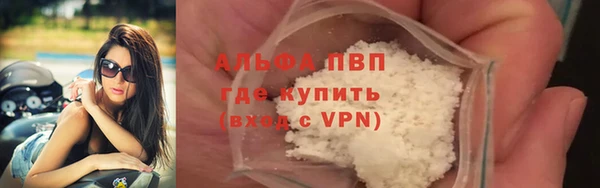гашик Майский