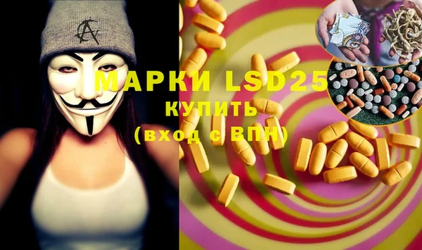 трава Магас