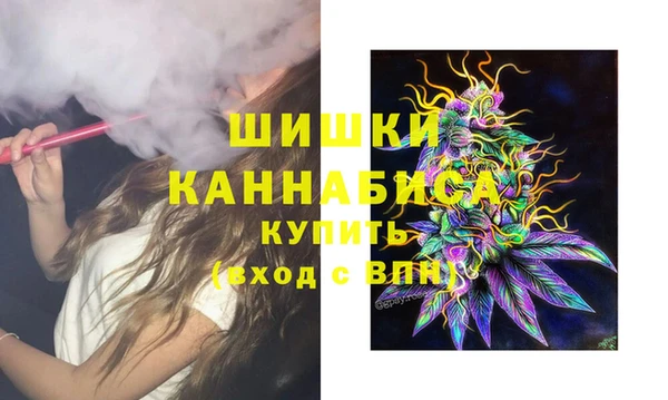трава Магас