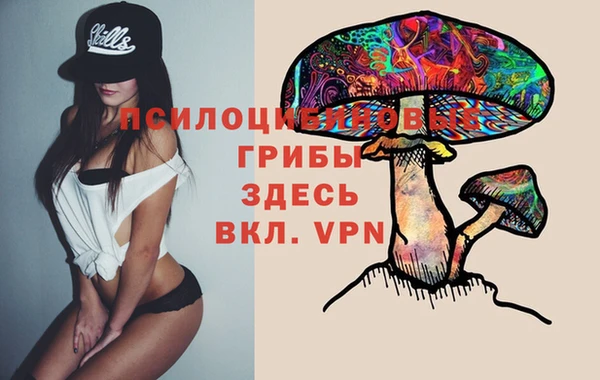 гашик Майский