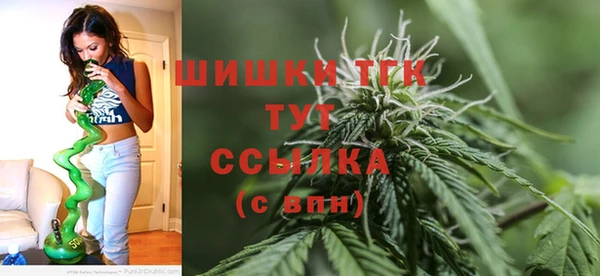 гашик Майский