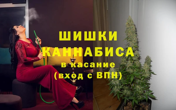 гашик Майский