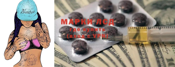 трава Магас