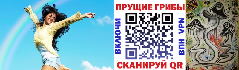 Псилоцибиновые грибы Psilocybe Шали