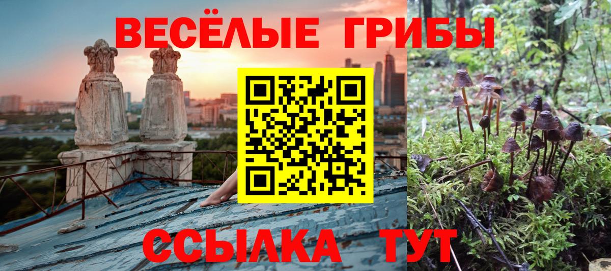 Псилоцибиновые грибы ЛСД  Вход с VPN  Шали 