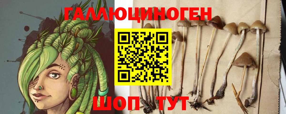 Псилоцибиновые грибы MAGIC MUSHROOMS  Галлюциногенные грибы мицелий  Шали 